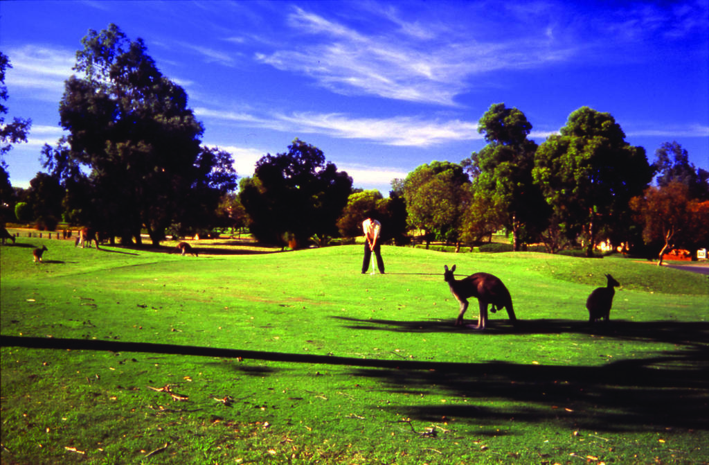 Novotel Vines Resort Swan Valley The Vines Eksteriør bilde